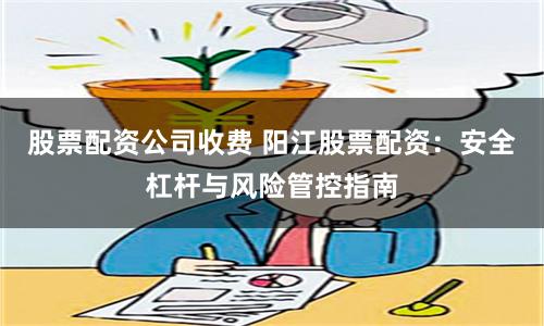 股票配资公司收费 阳江股票配资：安全杠杆与风险管控指南